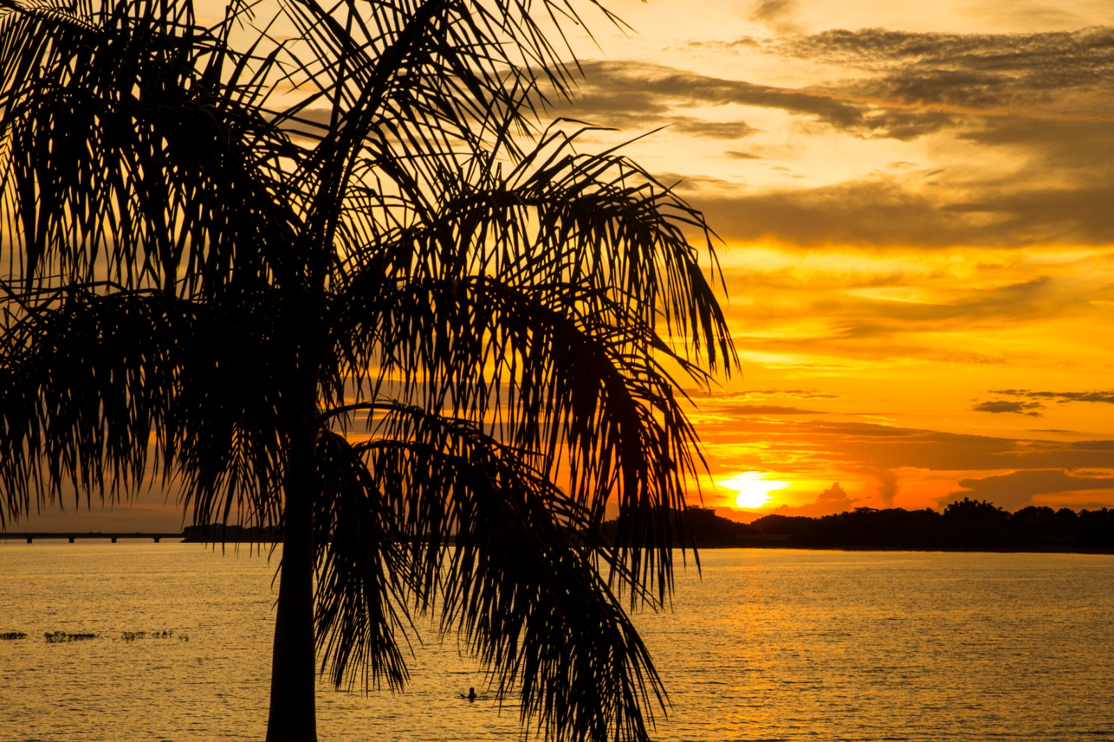 Governo de SP investe em infraestrutura para as praias de água doce do estado; confira roteiros